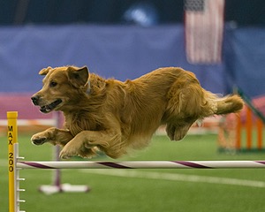 20150321-LEAP-0661.jpg