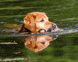 20160604-SEAW-1019.jpg