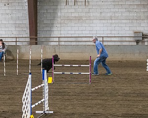 20190513-AG-0133.jpg