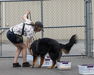 20260718-NSKC-0493.jpg