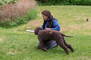 20190512-BD-0153.jpg