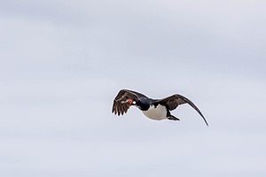 20191214-0306.jpg