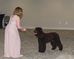 20190514-TEN-0106.jpg