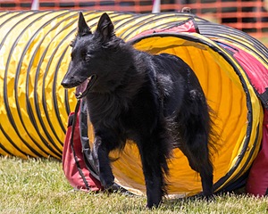 20180616-0668.jpg
