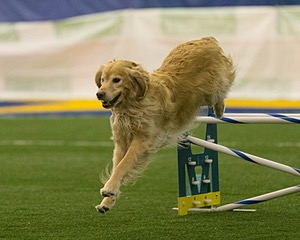 20150321-LEAP-0453.jpg