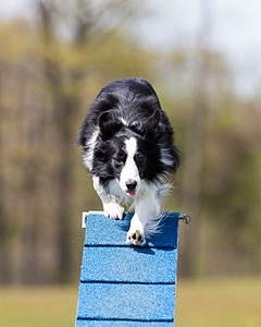 20160514-NEAT-1126.jpg