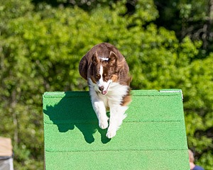 20160619-CCKC-0132.jpg