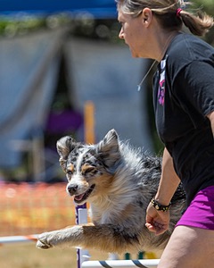 Pemi Lafave-Saletnik