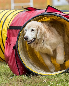 Winnie Pappas