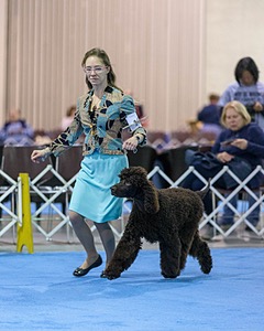10 - Poole's Ide Touch Of Mink (Darla)