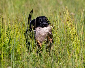 20170716-WCXL-0162.jpg