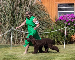 20210828-SW-0137.jpg