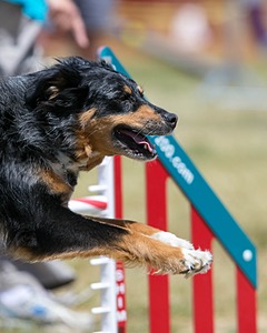20150613-CCKC-0135.jpg