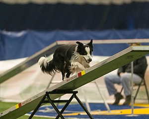 20150321-LEAP-0867.jpg