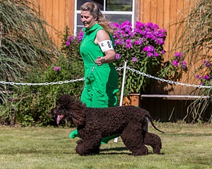 20210828-SW-0157.jpg