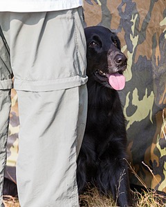 Carrie