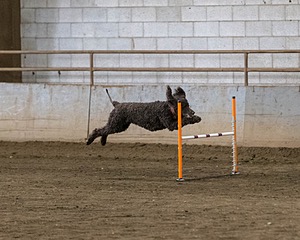 20190513-AG-0487.jpg