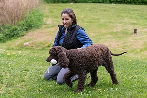 20190512-BD-0156.jpg