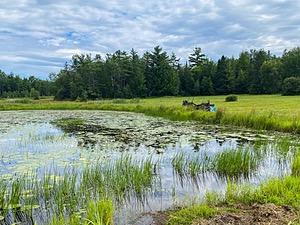 20240721-C-0010.jpg