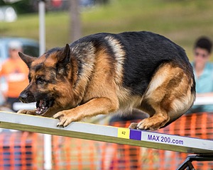 Aiden Brogden-Burns