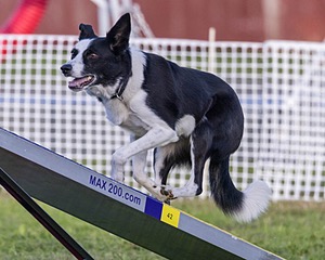 20230916-PVKC-1746.jpg