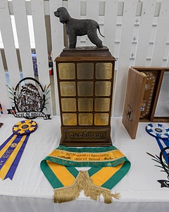 20190515-C-0008.jpg