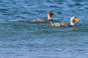 20191218-1440.jpg