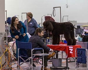 20190111-ASC-0021.jpg