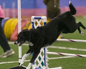 20150321-LEAP-0310.jpg
