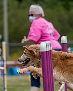 Keeper Beaulieu