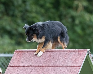 20200819-2845.jpg
