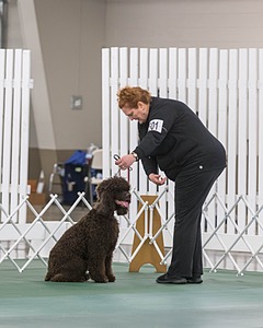 20190514-RA-0315.jpg