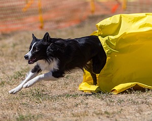 20160619-CCKC-1460.jpg