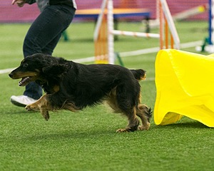 20150322-LEAP-0303.jpg