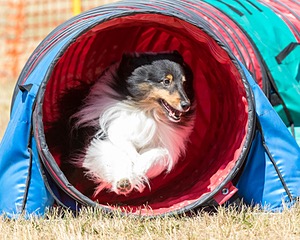 20160619-CCKC-0539.jpg