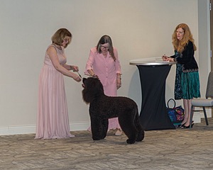 20190514-TEN-0082.jpg