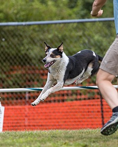 20200819-1492.jpg