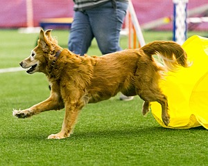 20150322-LEAP-0390.jpg