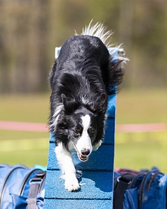 20160514-NEAT-1131.jpg