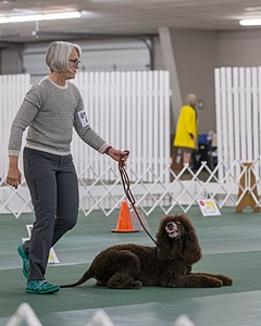 20190514-RA-0255.jpg