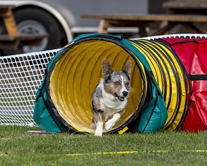 20220917-PVKC-1125.jpg