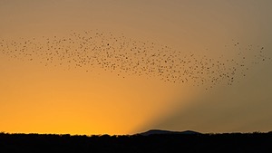 20151205-1056.jpg