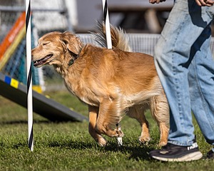 20230917-PVKC-2606.jpg