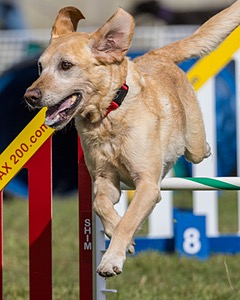 20230916-PVKC-1310.jpg