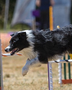 20160618-CCKC-1574.jpg