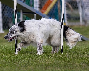 20230917-PVKC-2809.jpg