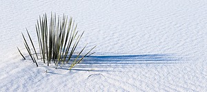 20151207-0092.jpg