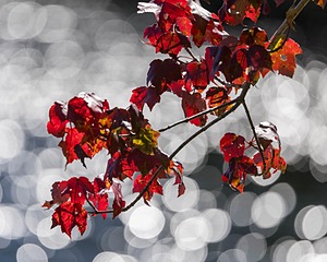 20250920-C-0003.jpg