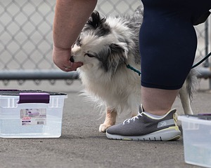 20260718-NSKC-0317.jpg