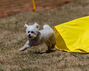 20160619-CCKC-1113.jpg